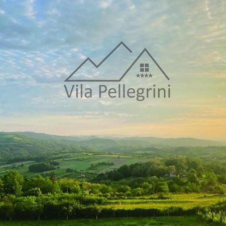 Vila Pellegrini Аранделовац Экстерьер фото