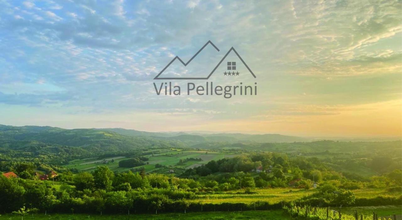 Vila Pellegrini Аранделовац Экстерьер фото